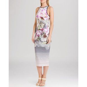 Ted Baker Laya Pure Peony Stripe Midi Jersey Stretch Sleeveless Dress XS 1